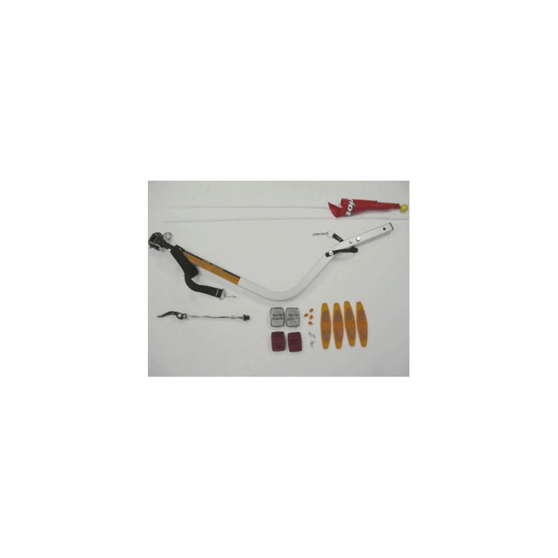 Kit de conversion Vélo Thule Chariot 