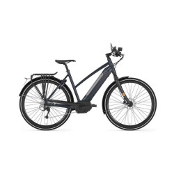Gazelle CityZen Speed Bike électrique 45 km/h trapez