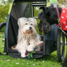 Remorque Croozer Dog 