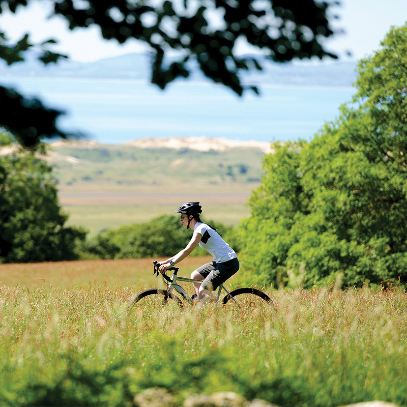 Vélo Gravel Genesis CDA 10 campagne