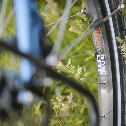 Vélo de randonnée Genesis Tour de Fer 30 jante Sun Ringle