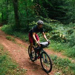Vélo Gravel Genesis Vagabond forêt