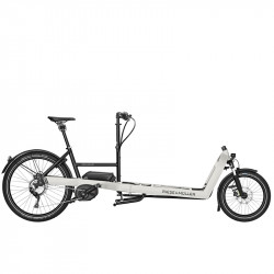 velo porteur electrique