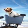 Panier de vélo arrière pour chien Basil Buddy chien à bord