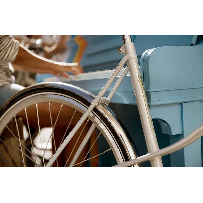 le vélo de ville hollandais gazelle van stael disponible chez cyclable
