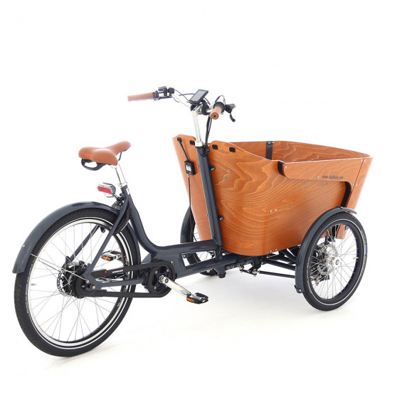 Découvrez le vélo cargo électrique Babboe Carve Mountain sur Cyclable