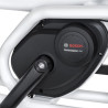 Vélo cargo électrique Urban Arrow Family moteur Bosch Performance