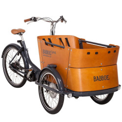 Babboe Curve Mountain Mountain Electric Cargo Bike نمای جانبی