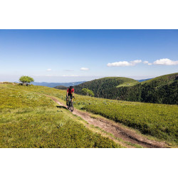Vélo Gravel électrique Moustache Dimanche 29.3 2020 danseuse