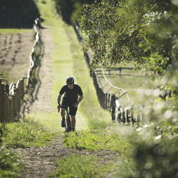 Vélo Gravel Genesis Fugio 20 2020