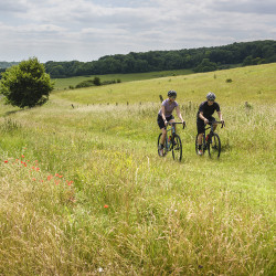 Vélo Gravel Genesis CDA 10 2020