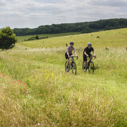 Vélo Gravel Genesis CDA 20 2020