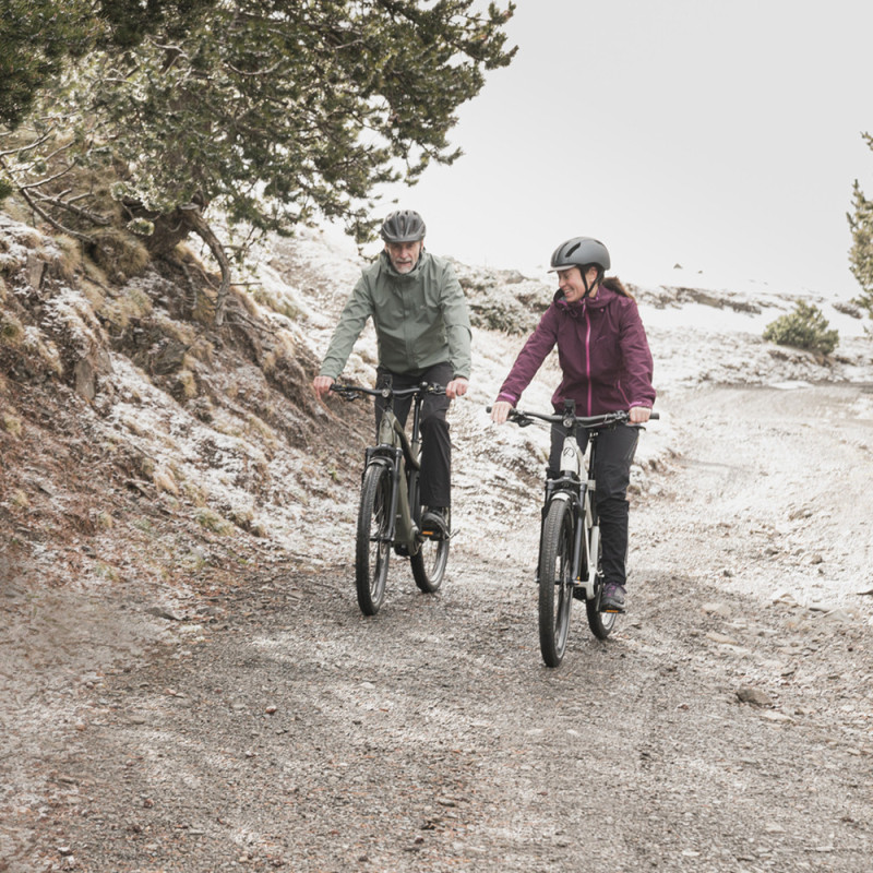 VTC électrique Kalkhoff Entice 7.B Move 2020