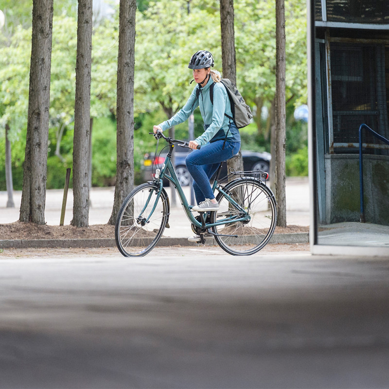 ridgeback avenida 7 review