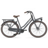Vélo de ville Gazelle Heavy Duty NL femme noir