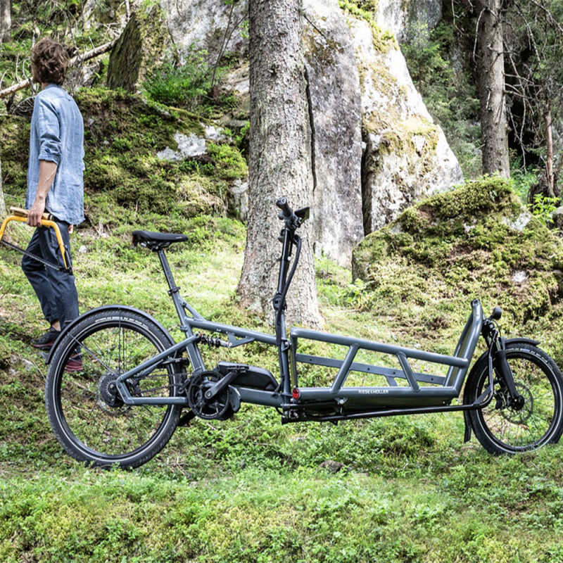Vélo cargo électrique Riese&Müller Load 75