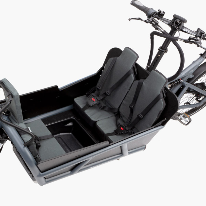 Vélo cargo électrique Riese&Müller Load 75