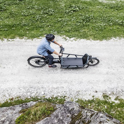 Vélo cargo électrique Riese&Müller Load 75