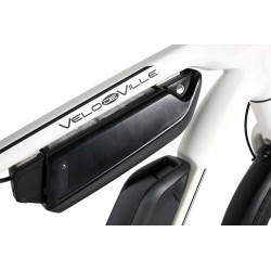 VTC électrique VDV LEB 400