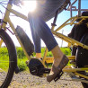 Vélo cargo électrique Yuba El Mundo