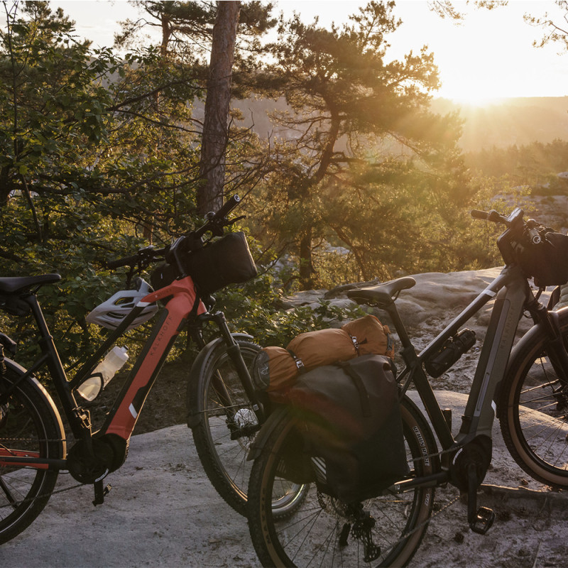 Vélo de randonnée électrique Kalkhoff Entice 5.B Advance +