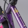 Vélo Gravel Genesis Fugio 30 top tube