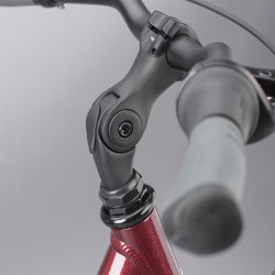 Vélo de ville Ridgeback Avenida 7