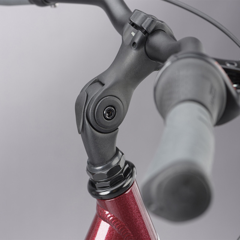 Vélo de ville Ridgeback Avenida 7