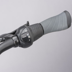 Vélo de ville Ridgeback Avenida 7