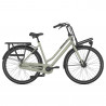 Vélo de ville Gazelle HeavyDutyNL vert
