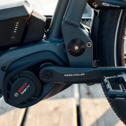 Vélo cargo électrique Riese&Müller Load 75