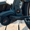 Vélo cargo électrique Riese&Müller Load 75