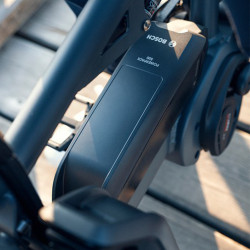 Vélo cargo électrique Riese&Müller Load 75