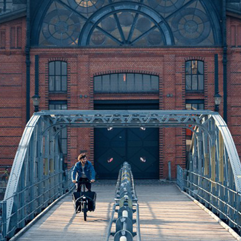 Vélo cargo électrique Riese&Müller Load 75