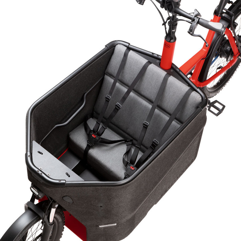 Vélo cargo électrique Riese&Müller Packster 70