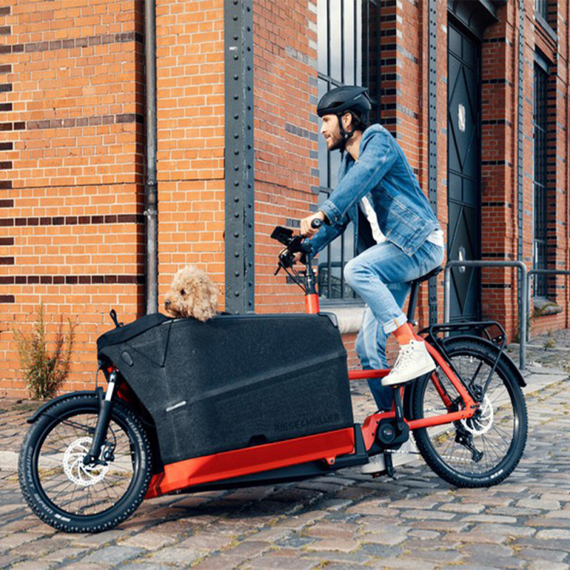 Vélo cargo électrique Riese&Müller Packster 70