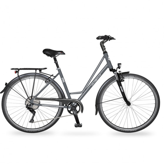 Hybrid Rental Bike