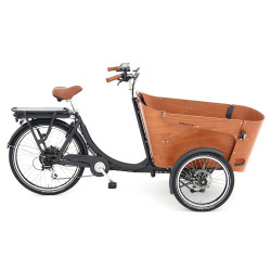 Babboe Flow-E electric scooter