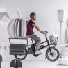 Vélo cargo électrique Moustache Lundi 20.3