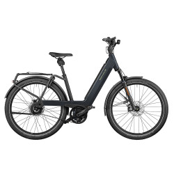 Speed Bike Riese & Müller Nevo GT HS Vario gris