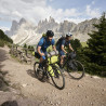 Sacoche de guidon bikepacking Vaude Trailfront II montagne