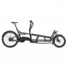 Vélo cargo électrique Riese & Müller Load 75 Rohloff gris