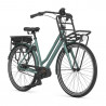 Vélo de ville électrique Gazelle HeavyDutyNL C5 HMB vert