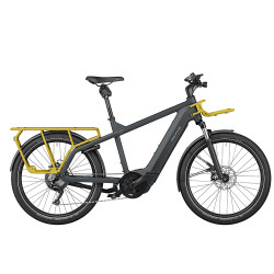 Vélo cargo électrique Riese & Müller Multicharger GT 750