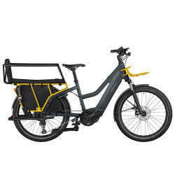 Vélo cargo électrique Riese & Müller Multicharger GT Family