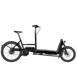 Vélo cargo électrique Riese & Müller Transporter 65