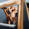 Remorque de transport pour chien Croozer Dog Enna fenêtre