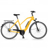 VTC électrique VDV AEB 800 - transmission moyeu