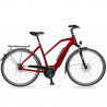 VTC électrique VDV AEB 800 - transmission moyeu