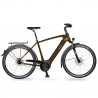 VTC électrique VDV SEB 890 - transmission moyeu